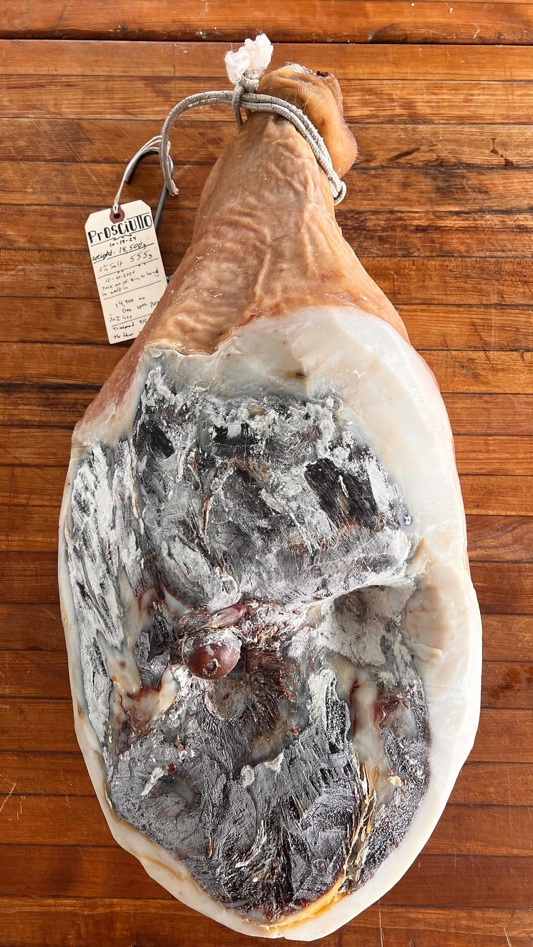 Post 7 by Hand Hewn Farm on Instagram (video)