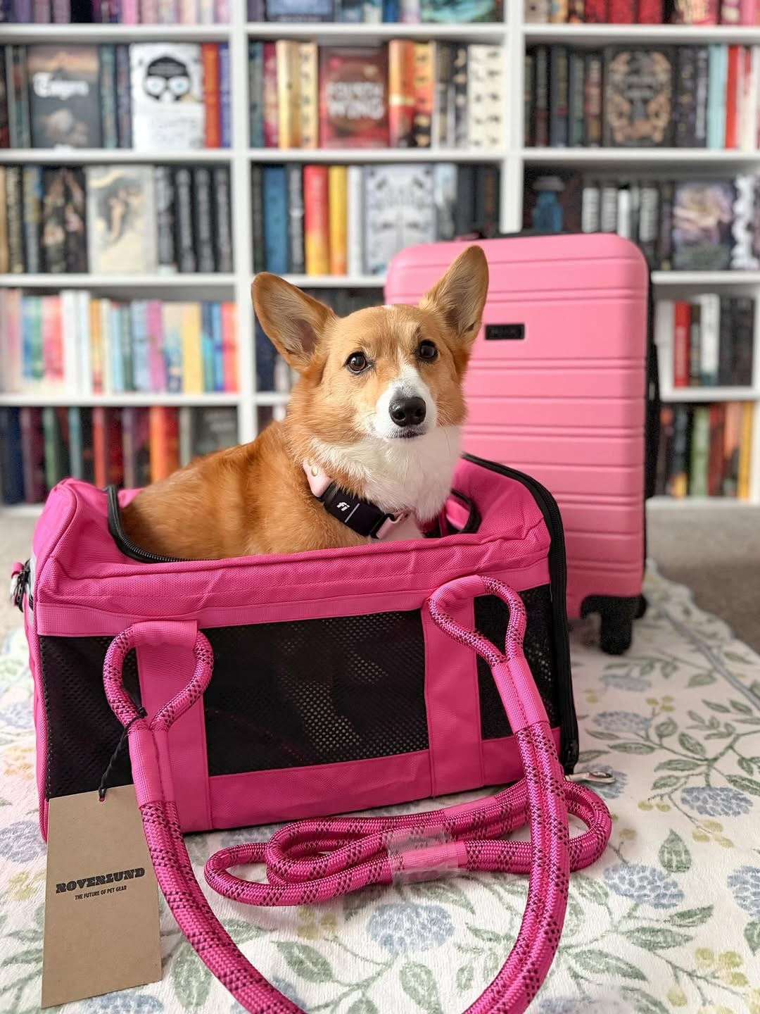 Post 6 by Luna & Lily - Official on Instagram (image)