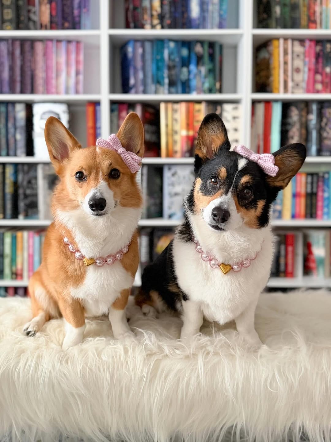 Post 8 by Luna & Lily - Official on Instagram (carousel)