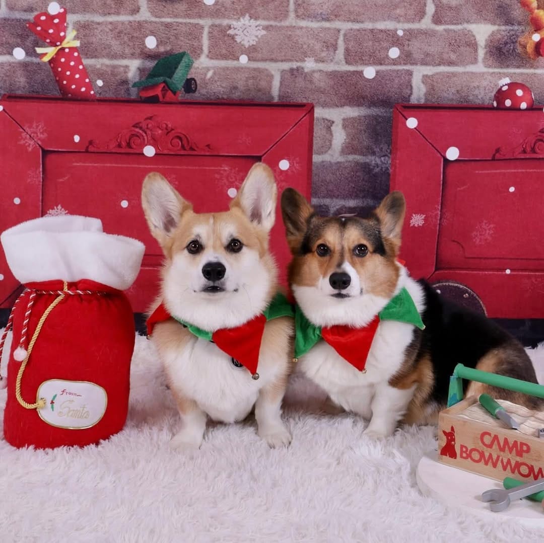 Post 6 by CeeDee & Kyler on Instagram (carousel)