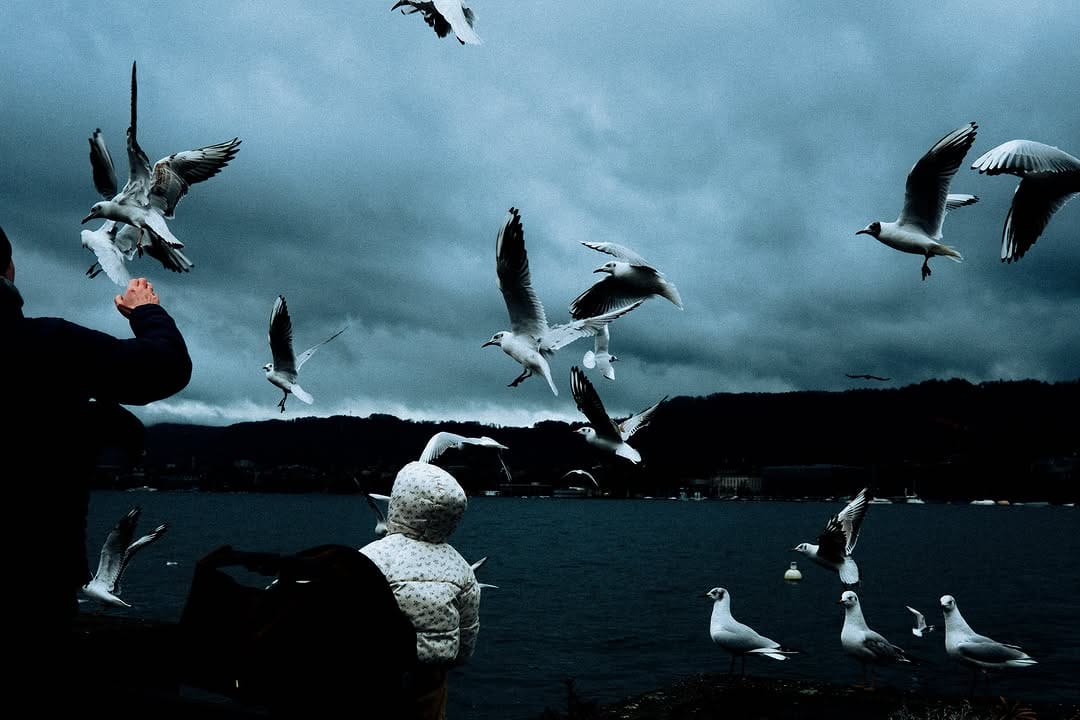 Post 2 by Nicole Mago on Instagram (image)
