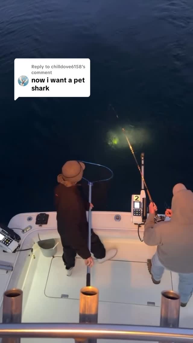 Post 5 by David Lutze on Instagram (video)
