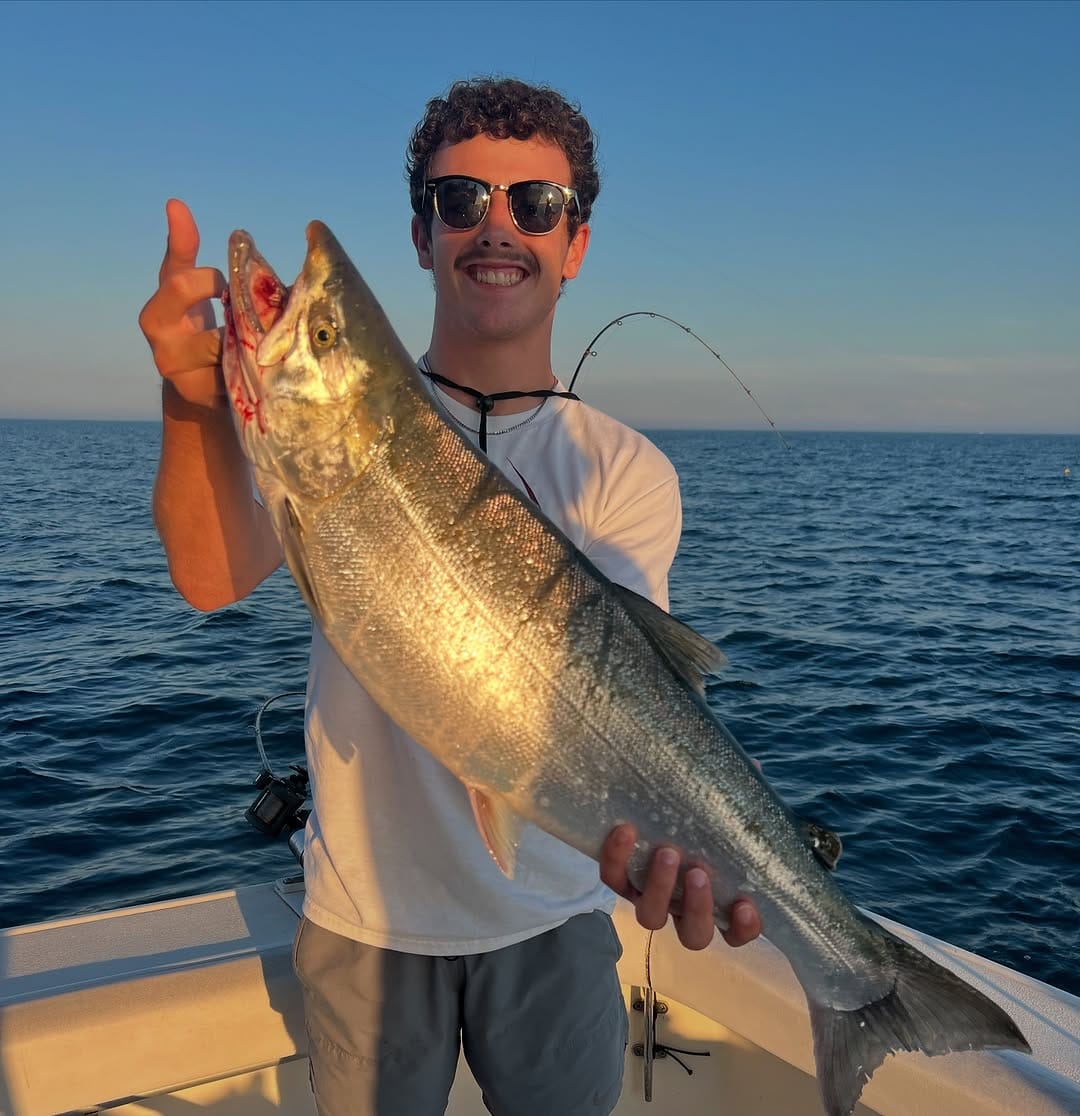 Post 8 by David Lutze on Instagram (image)