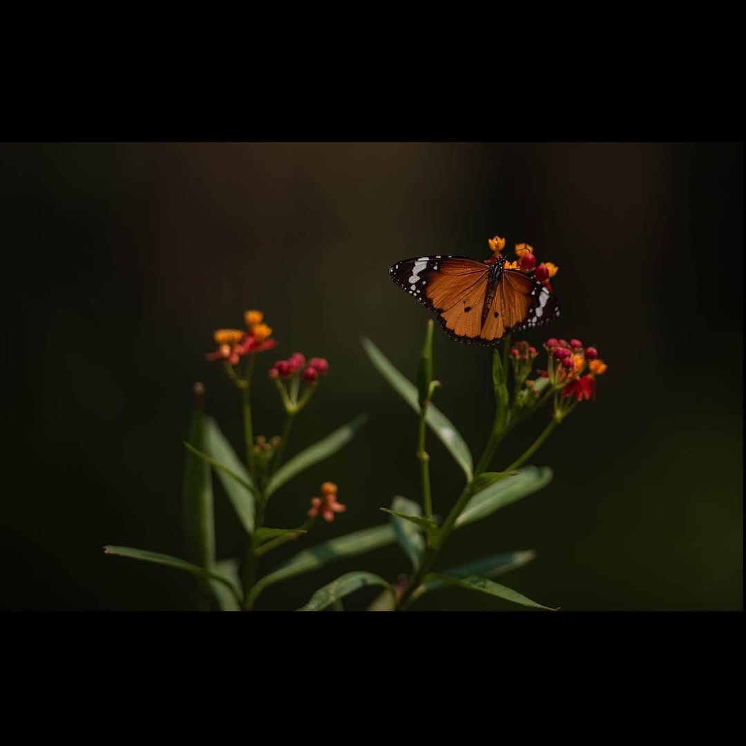 Post 9 by 🪽Madhukar G🪽 on Instagram (carousel)