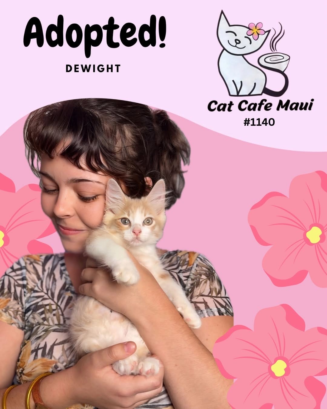 Post 6 by 🐾 Cat Cafe Maui 🐾 on Instagram (carousel)