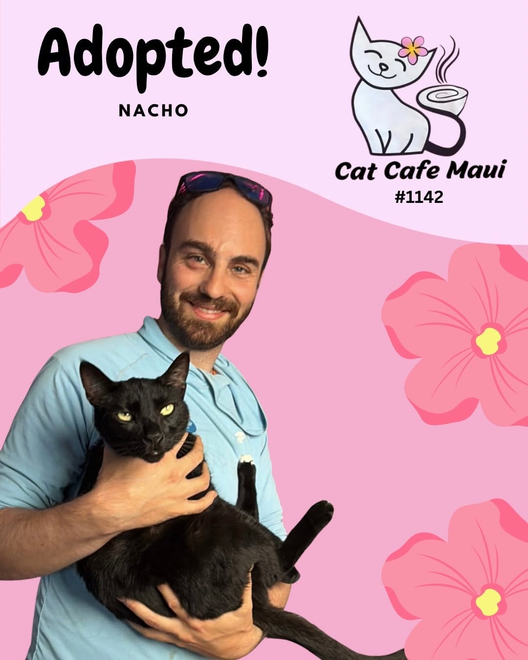Post 2 by 🐾 Cat Cafe Maui 🐾 on Instagram (carousel)
