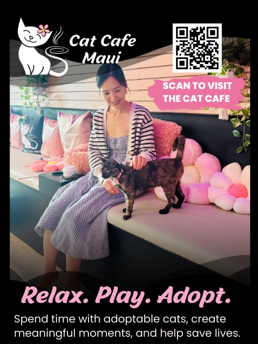 Post 9 by 🐾 Cat Cafe Maui 🐾 on Instagram (carousel)