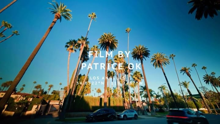Post 7 by PATRICE•פַּטְרִיס אוקלנדר on Instagram (video)