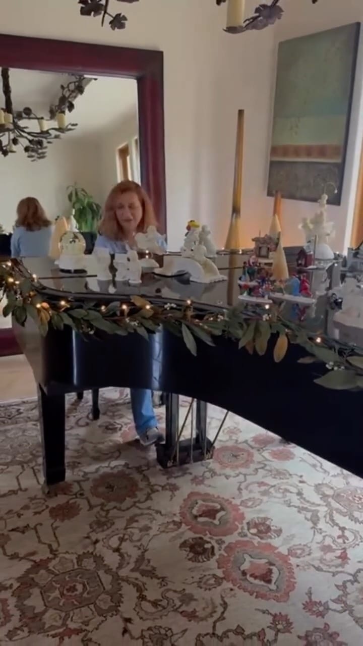 Post 2 by Faranak Shahroozi on Instagram (video)