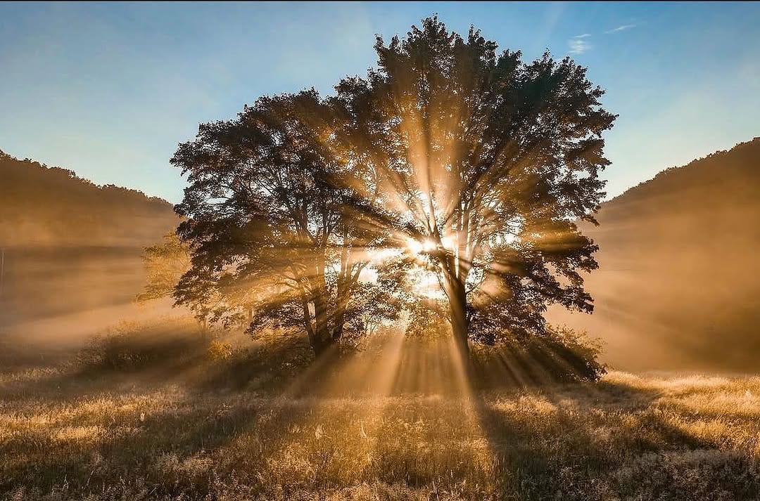 Post 4 by Wild Wonderful on Instagram (image)