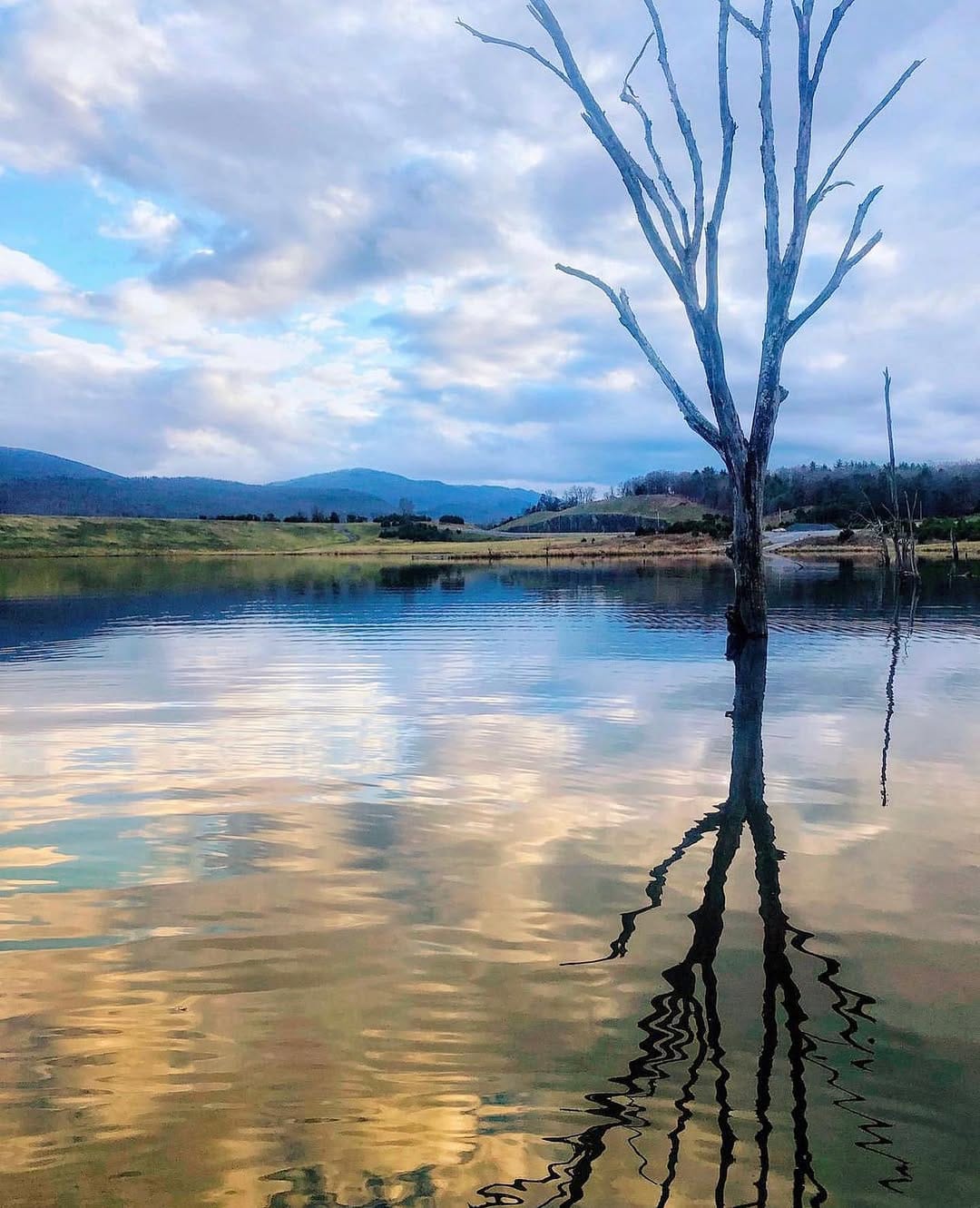 Post 8 by Wild Wonderful on Instagram (image)