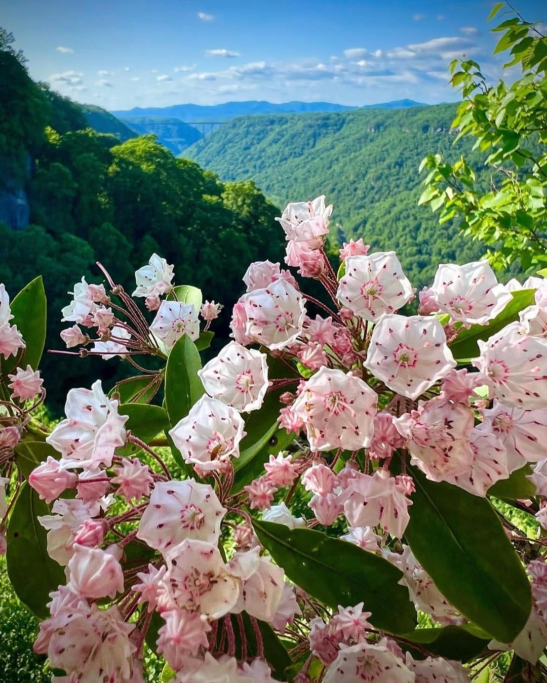 Post 9 by Wild Wonderful on Instagram (image)