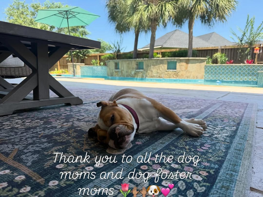 Post 5 by Lola's Lucky Day on Instagram (image)