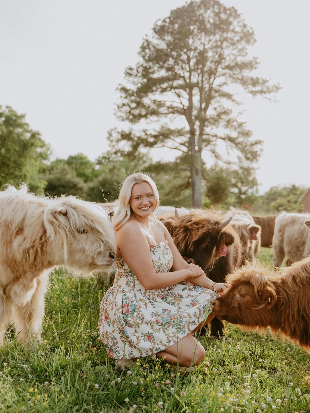 Post 3 by Lindsay Kate Photography on Instagram (carousel)