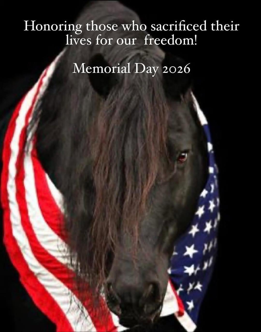 Post 6 by 3 Sisters Equine Refuge on Instagram (image)