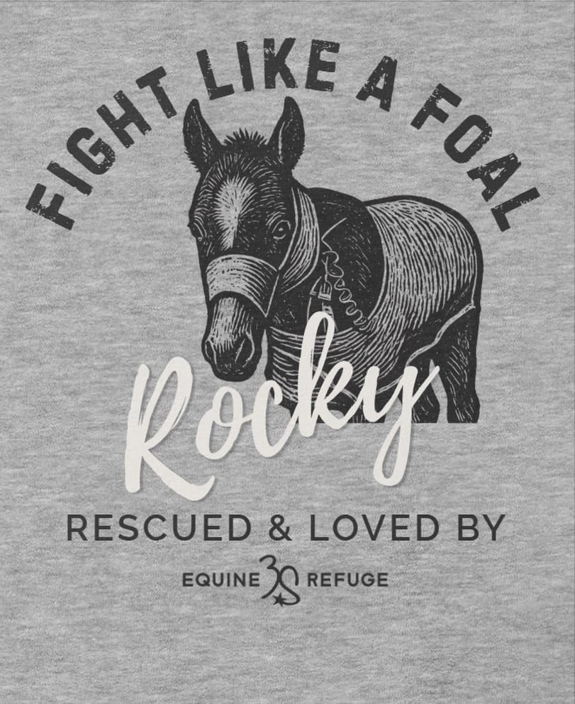 Post 2 by 3 Sisters Equine Refuge on Instagram (image)