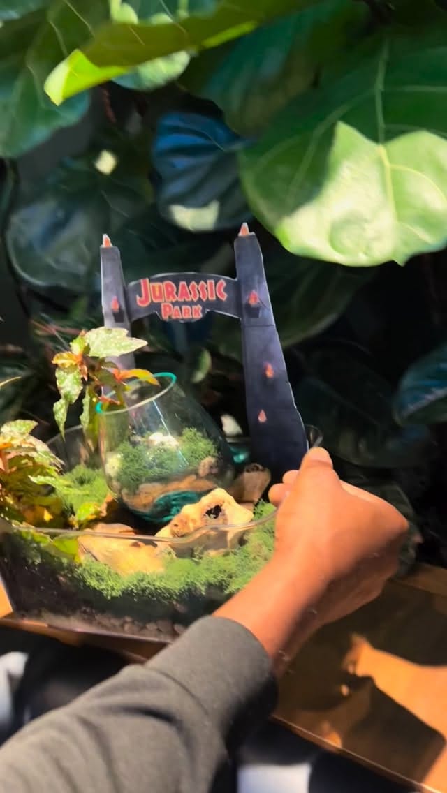 Post 3 by Tropical Express Atl on Instagram (video)