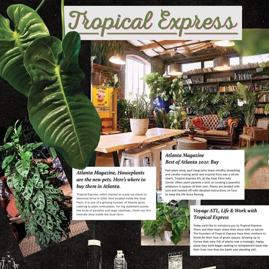 Post 10 by Tropical Express Atl on Instagram (image)