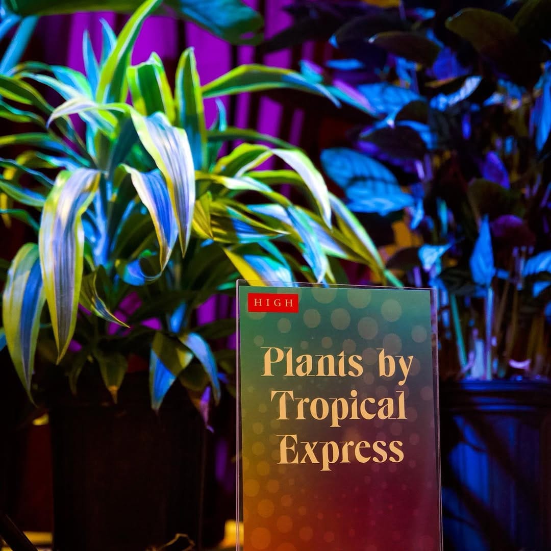 Post 9 by Tropical Express Atl on Instagram (carousel)