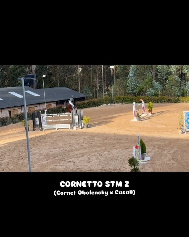 Post 1 by Chubi Gonzalez on Instagram (video)