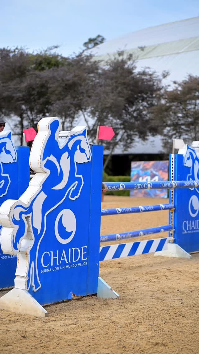 Post 7 by Chubi Gonzalez on Instagram (video)