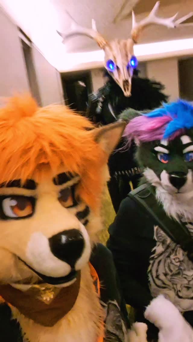 Post 4 by FennéCat (Anna) on Instagram (video)