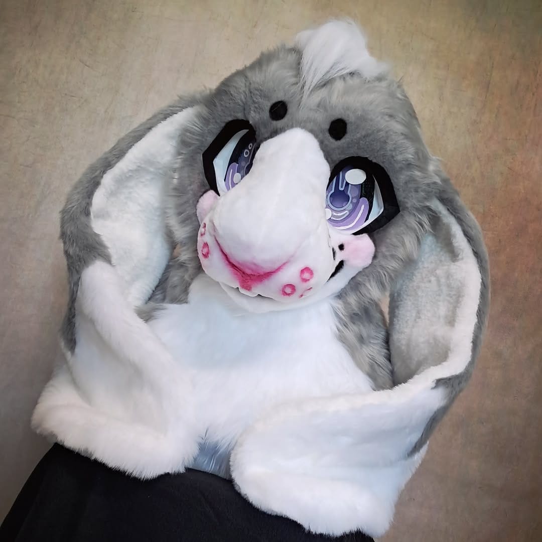 Post 2 by FennéCat (Anna) on Instagram (carousel)