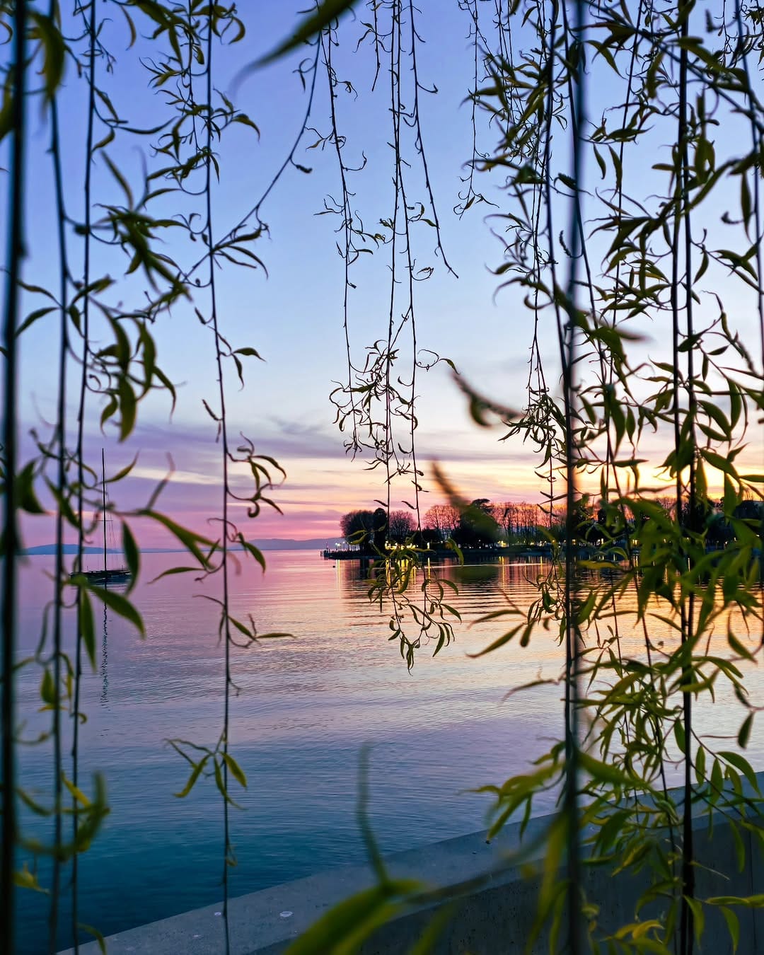 Post 2 by Ali on Instagram (image)