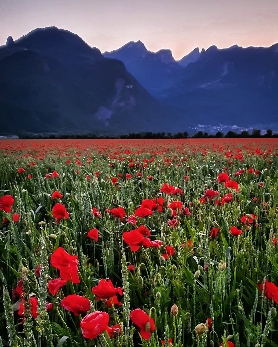 Post 10 by Ali on Instagram (image)