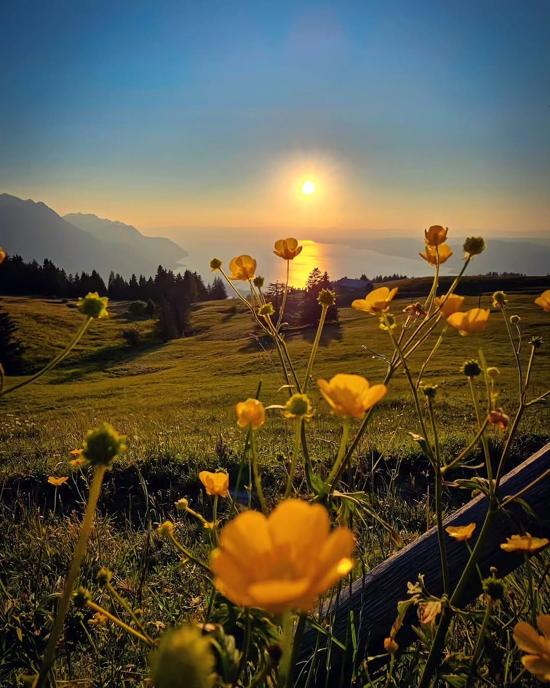 Post 9 by Ali on Instagram (image)