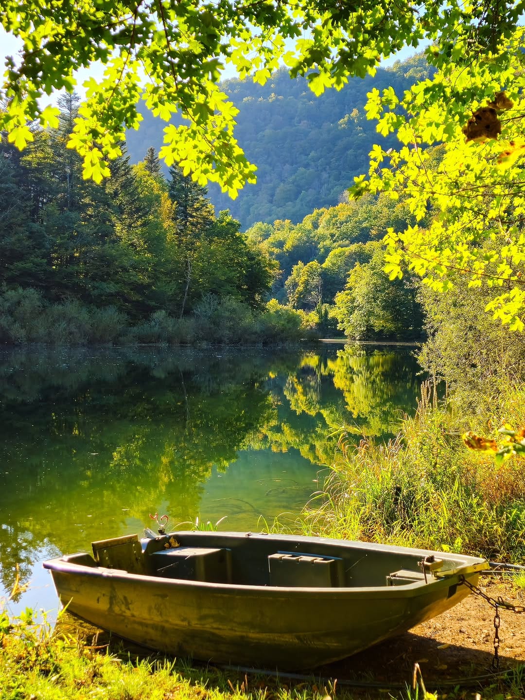 Post 1 by Ali on Instagram (image)