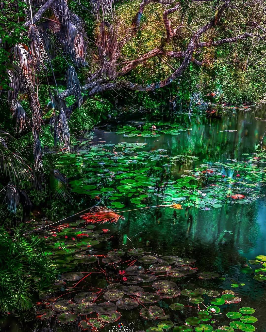 Post 6 by Adrian on Instagram (image)