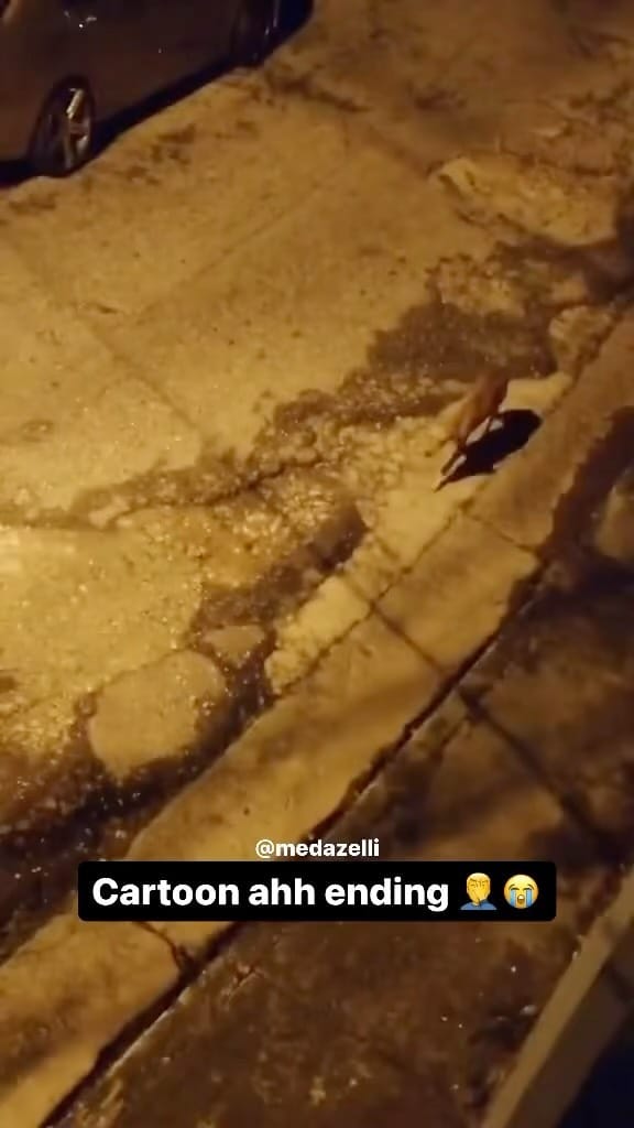 Post 7 by AmericanBullysNyc on Instagram (video)