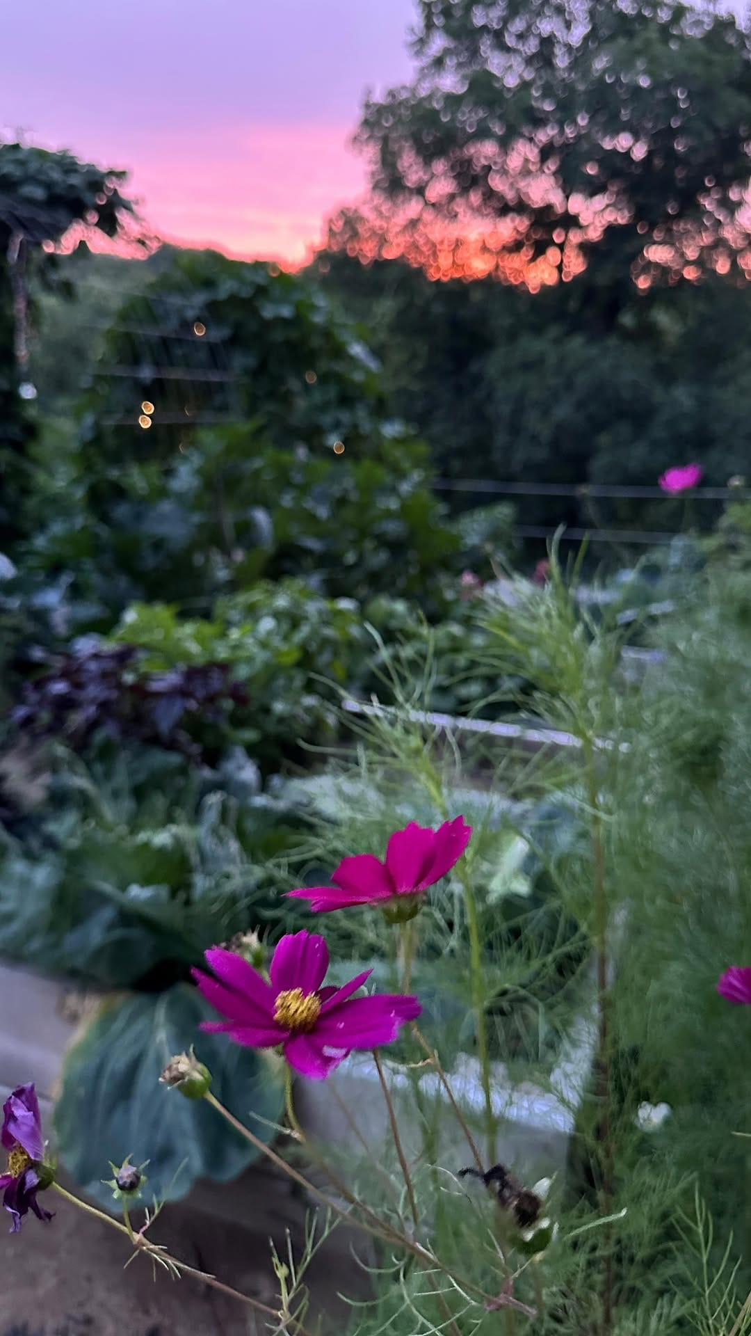 Post 10 by Hannah Vander Veer on Instagram (video)