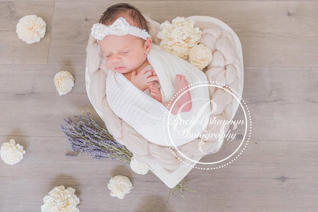 Post 10 by Orange County Photographer on Instagram (image)