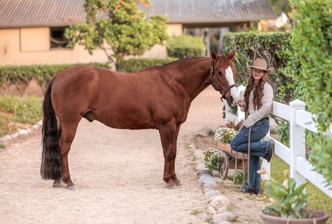 Post 2 by Orange County Photographer on Instagram (image)