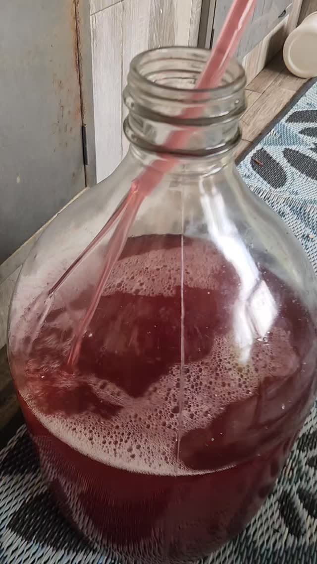Post 7 by The Reid Farm, LLC on Instagram (video)