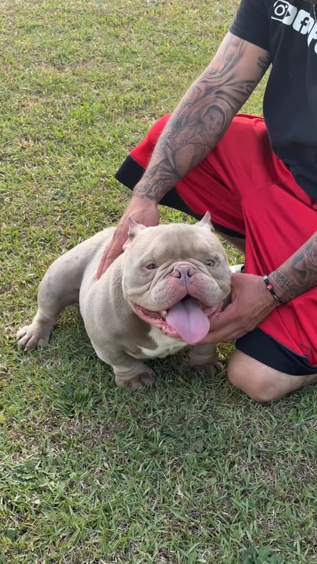 Post 2 by Mk Bulls Santoyo LLC on Instagram (video)