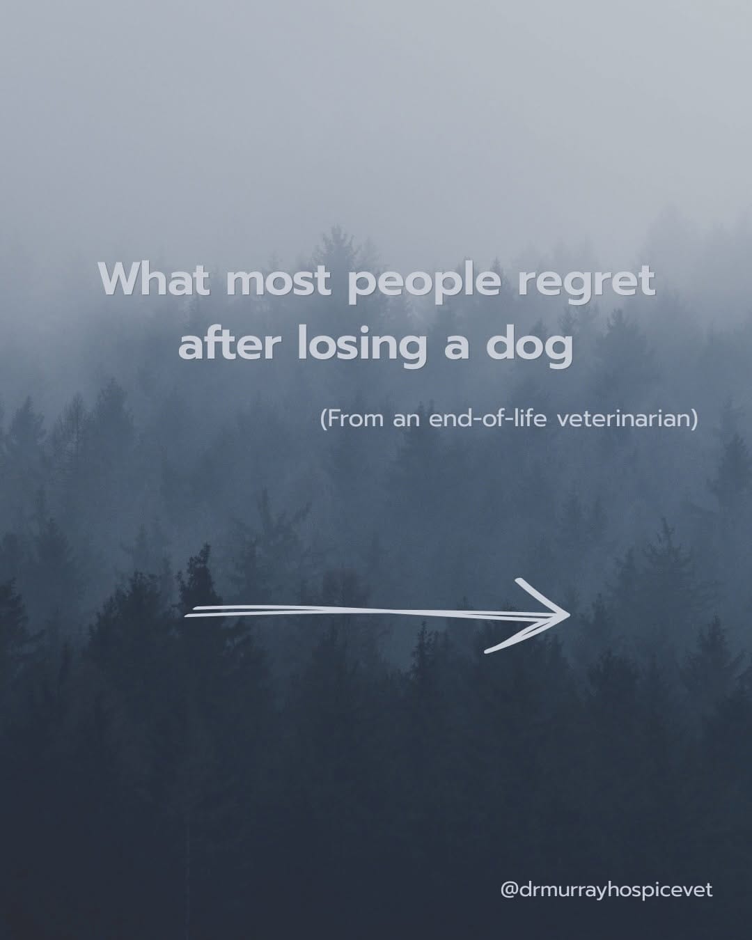 Post 8 by John Murray, DVM | Veterinarian on Instagram (carousel)