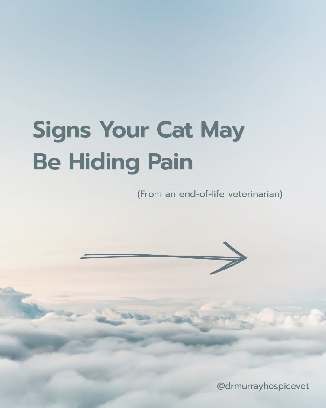 Post 4 by John Murray, DVM | Veterinarian on Instagram (carousel)