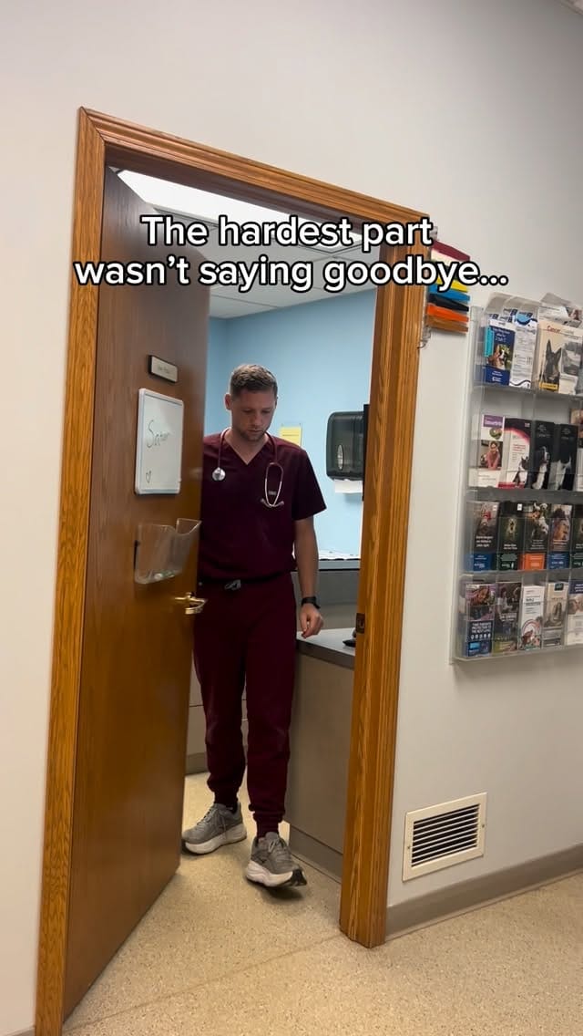Post 3 by John Murray, DVM | Veterinarian on Instagram (video)