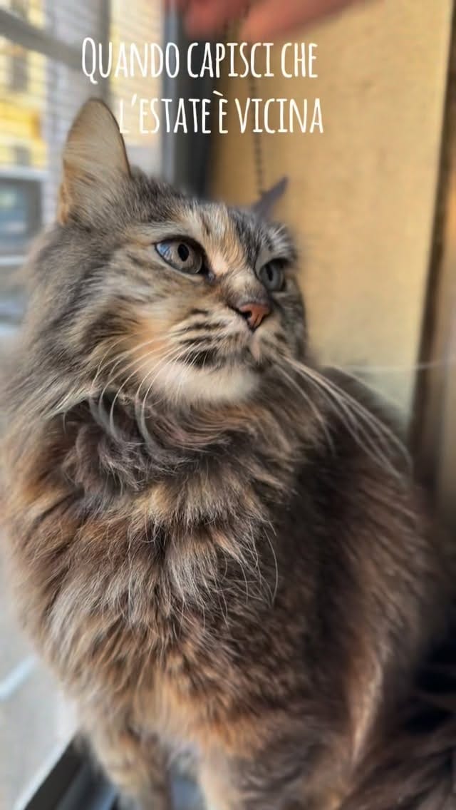 Post 6 by Lilyth De Lamperouge on Instagram (video)