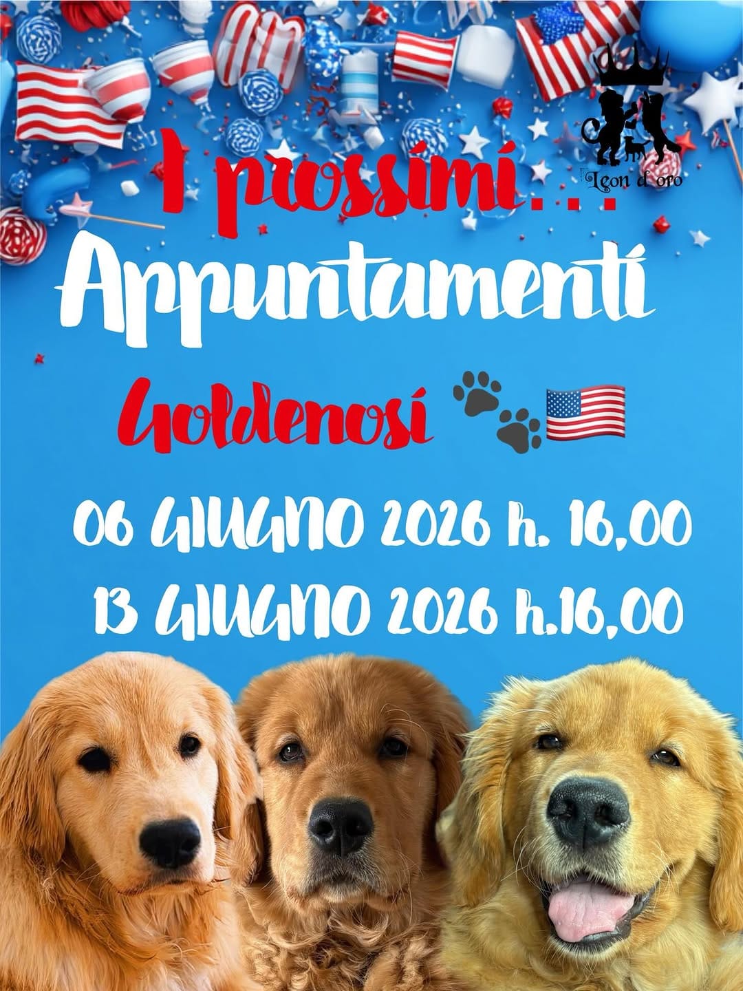 Post 2 by Leon d’oro 🦁 Allevamento Golden Retriever&Jack Russell on Instagram (image)