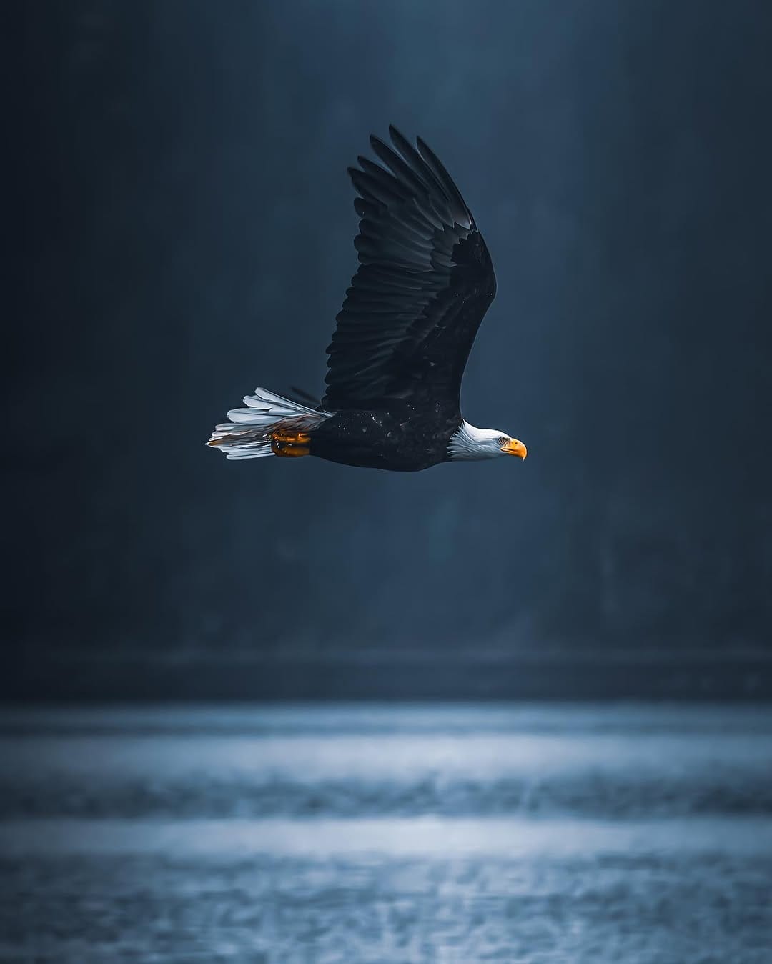 Post 10 by Derek Butler | Commercial & Wildlife Photographer on Instagram (carousel)