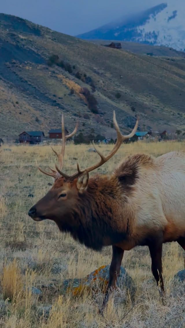 Post 4 by Derek Butler | Commercial & Wildlife Photographer on Instagram (video)