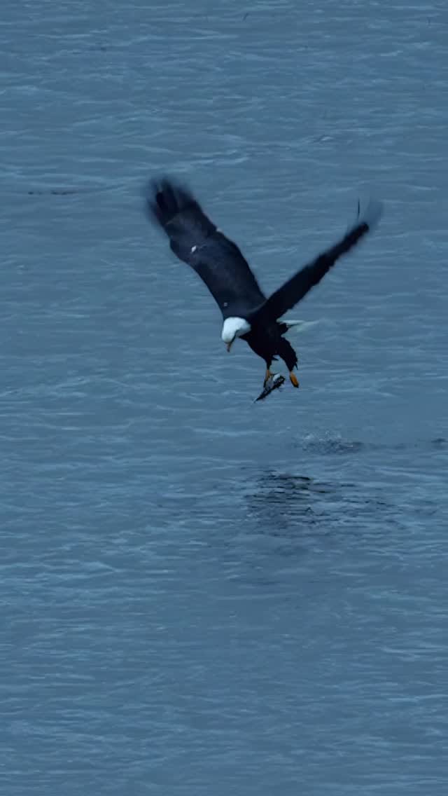 Post 3 by Derek Butler | Commercial & Wildlife Photographer on Instagram (video)