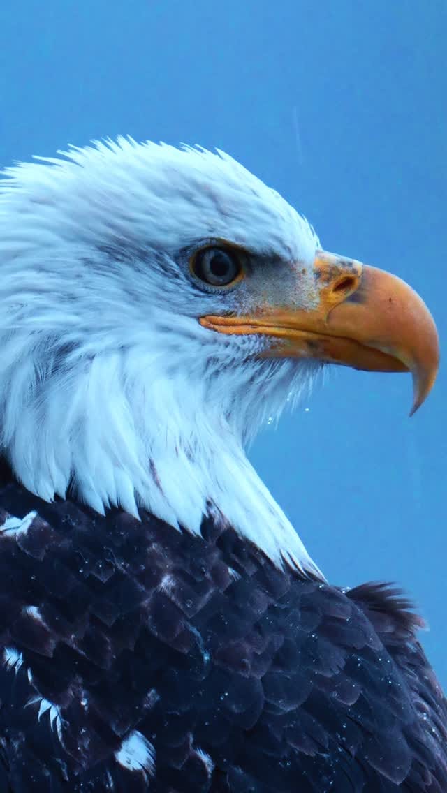 Post 9 by Derek Butler | Commercial & Wildlife Photographer on Instagram (video)