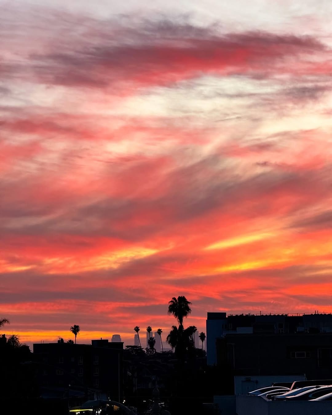 Post 8 by Kristen on Instagram (image)