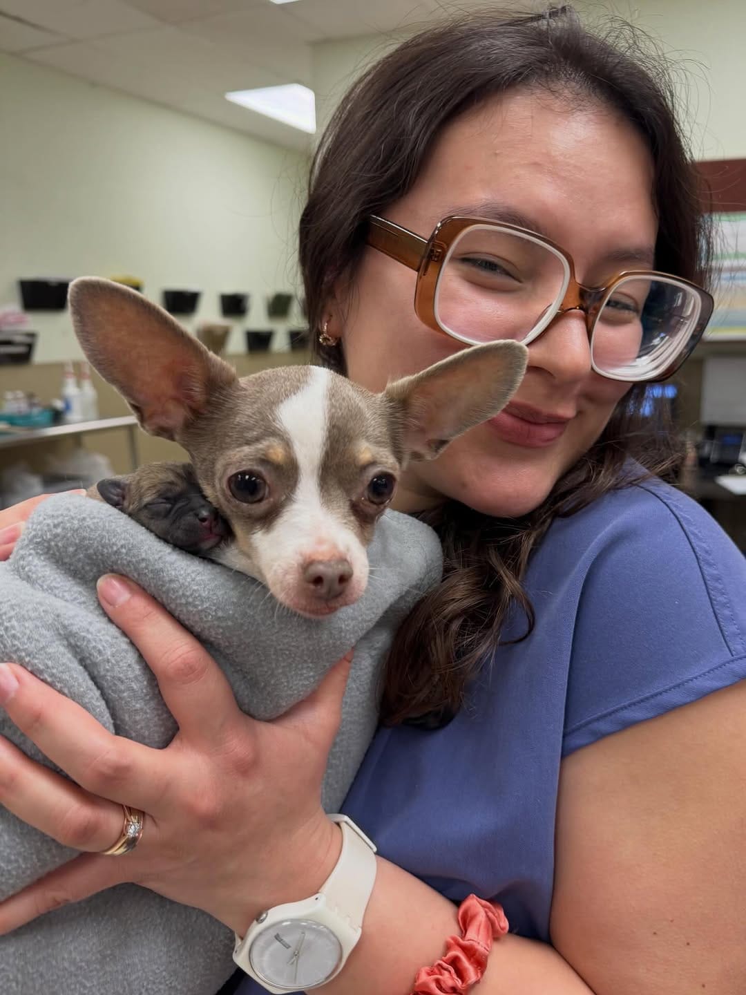 Post 5 by Norma Itzel | DVM⚕️ on Instagram (carousel)