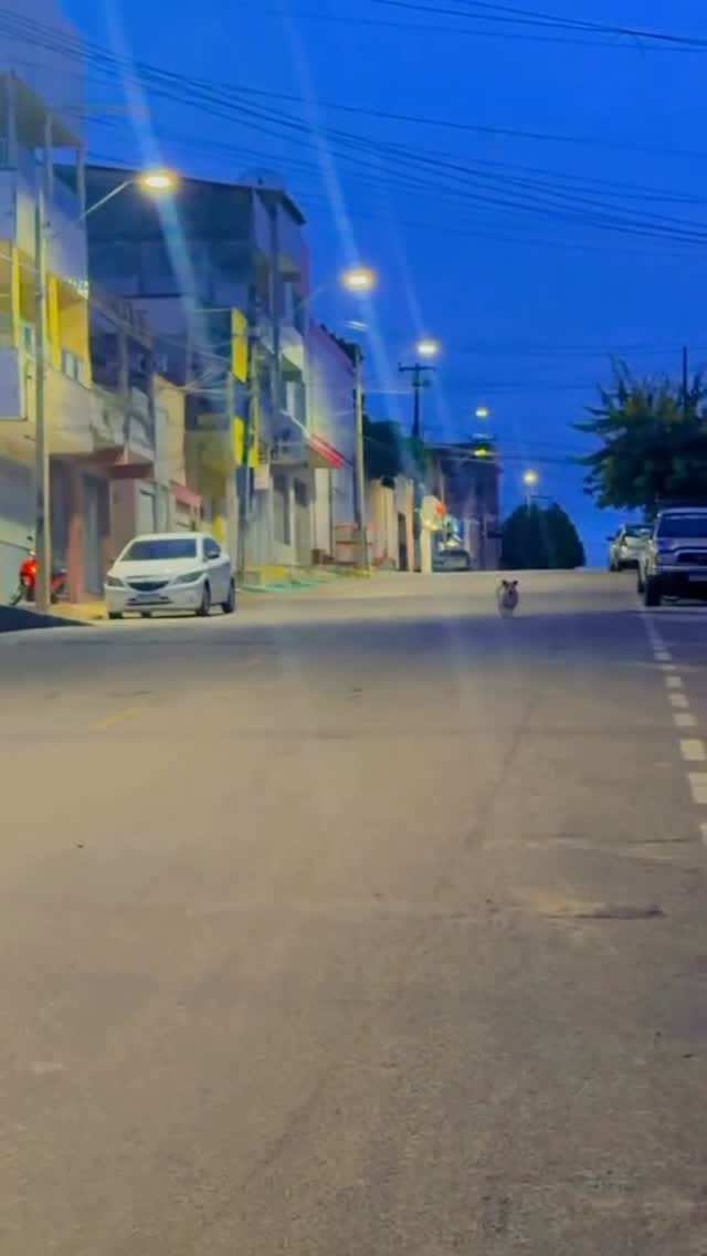 Post 9 by Klyvan Azevedo Oficial on Instagram (video)